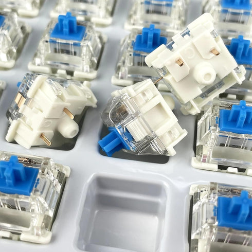 Gateron G Blue Pro 3.0 Switches,3 Pin Pre Lubed RGB SMD Clicky Switches for MX Gaming Mechanical Keyboard (G Pro 3.0,Blue,36PCS)...