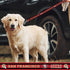 NFL PET Leash San Francisco 49ers Dog Leash, Small Football Team Leash for Dogs & Cats. A Shiny & Colorful Cat Leash & Dog Leash Licensed by The N...