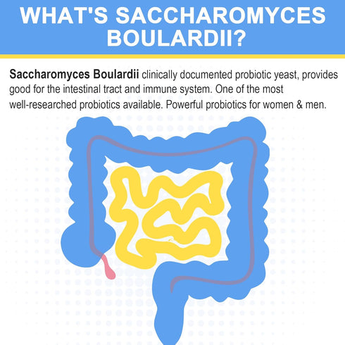 Saccharomyces Boulardii Probiotics 200 Billion CFUs, Clinically-Studied Probiotic for Women & Men Yeast for Intestinal, Gut, Immune & Digestive He...