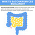 Saccharomyces Boulardii Probiotics 200 Billion CFUs, Clinically-Studied Probiotic for Women & Men Yeast for Intestinal, Gut, Immune & Digestive He...