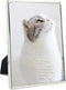 DECANIT 3.5x5 Picture Frame Metal, Thin Profile Photo Frame 3.5 by 5 Inch, Display for Wall or Tabletop,Silver...