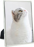 DECANIT 3.5x5 Picture Frame Metal, Thin Profile Photo Frame 3.5 by 5 Inch, Display for Wall or Tabletop,Silver...