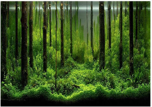 Aquarium Background 10 Gallon Tank Aquarium Poster Aquarium Forest Background Picture Fish Tank Background PVC Adhesive Underwater Forest Tank Pos...