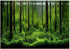 Aquarium Background 10 Gallon Tank Aquarium Poster Aquarium Forest Background Picture Fish Tank Background PVC Adhesive Underwater Forest Tank Pos...