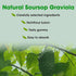 Soursop Graviola Gummies, Organic Soursop Leaves Extract 2000mg for Antioxidant, Immune Support & Digestive Promotion, Vegan - Green Apple Flavor ...