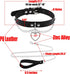 2Pcs Love Heart Charm Soft Blue Faux Leather Collar and Leash Chain Set for Women Pet Sexy Cute Cosplay Toys Gift...