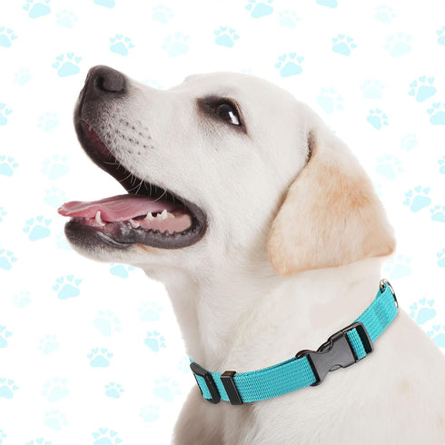 9 Pieces Adjustable Dog Collar for Medium Dogs, Soft Nylon Dog Collar with Quick Release Buckle Collar Bulk for Dogs Walking Running Training (Bri...