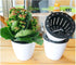 5.2“ Self Watering Planter White Flower Pot, 3 Pcs Medium Planter Pot, Mini Plant Pot, for All Plants, Herbs, African Violets, Succulents, Flowers...