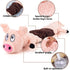 Squeaky Dog Toys for Dogs,Plush Dog Toy,Dog Tug of War Toy,Interactive Dog Toy for Small/Medium/Large Breed?pig?...