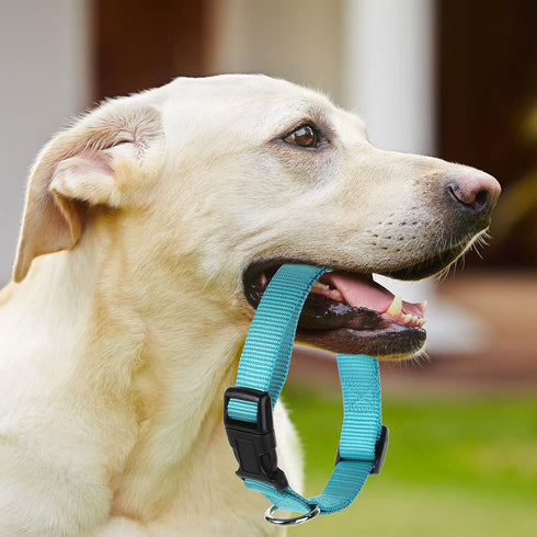 12 Pieces Nylon Dog Collar Bulk, Adjustable Dog Collars with Quick Release Buckle Dogs Collar Bulk for Dogs Walking Running Training, Medium (Mixe...