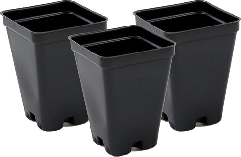 Grower's Solution 2.5 inch Square Greenhouse Pots - Black - Plastic - Deep - 25 Pack...