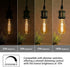 BORT Vintage LED Edison Bulbs, ST58/ST19, Warm White 2500K, 4.5W Antique LED Filament Light Bulbs, Dimmable, 40W Equivalent, 400LM, E26 Standard B...