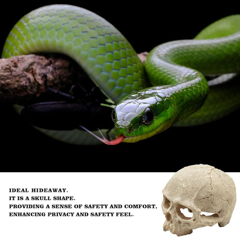 Snake Hideout, Reptile Aquarium Skull Decor, Resin Skeleton Head Fish Hide, Tank Terrarium Accessories, Reptile Hides and Caves for Fish Bearded D...