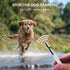 Dog Whistle 2 Pack, Dog Whistle to Stop Barking Neighbors Dog, Adjustable Ultrasonic Silent Dog Whistle, Professional Recall Dog Training Whistles...