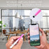 2 in 1 Stylus Pens for Touch Screens,3 Pcs Stylus Pencil with Transparent Disc & Silicone Tip High Sensitivity Stylus Fine Point Stylus Pen Compat...