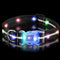 Light Up Dog Collars, IP68 Waterproof USB Rechargeable Flash Necklace LED Dog Collar, Super Dog Collar Light at Night to Keep Your Pet Safety for ...