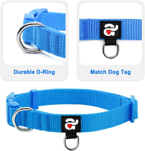 azuza 3 Pack Dog Collars Comfortable and Adjustable Nylon Dog Collars for for Small Dogs, S (11-16inch)?Green, Blue and Royal Blue...