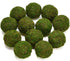 BYHER Natural Green Moss Decorative Ball,Handmade (3.5"-Set of 6)...