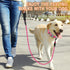 BARKBAY Dog Leashes for Large Dogs Heavy Duty Dog Leash 2 PACK 5 FT with Comfortable Padded Handle Highly Reflective Threads for Medium Large Dogs...