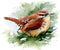 Carolina Wren Watercolor Art Print by Artist DJ Rogers...