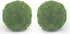 Nice purchase Handmade Natural Green Plant Moss Balls Decorative for Home Party Display Decor Props (6 in)...