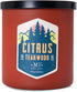 Manly Indulgence Citrus Teakwood Scented Candles for Men, 2 Wick, 15 oz Premium Soy Blend Wax, 60H Burn, Candles for Home Scented – Made in The US...