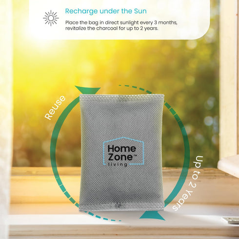Home Zone Living CleanAura Deodorizing Bamboo Activated Charcoal Filter Bag Set of 4...