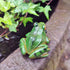 2 Pcs Frog Statues Miniature Simulation Small Animal Resin Sculpture Patio Lawn Yard Terrace Micro Landscape Fairy Garden Fish Tank Accessories In...