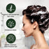 Black Hair Dye Shampoo & Conditioner, Natural Hair Dye Shampoo 3 in 1, 100% Gray Hair Coverage, Hair Color for Men & Women, 13.5 FL OZ (400 ML)...