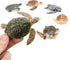 Toymany 6PCS Realistic Sea Turtle Figurines, Plastic Ocean Sea Animals Figures Set includes of Turtles, Educational Toy Cake Toppers Christmas Bir...
