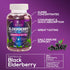 Sambucus Elderberry Gummies for Adults, Teens & Kids - Super Concentrated 35:1 Extract, Equivalent to 4200mg of Elderberries - Daily Immune Suppor...