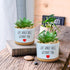 Life Would SUCC Without You - White Ceramic Engraved Mini Succulent Cactus Planter Pot, 3.5 inch Succulent Indoor Flower Plant Pots with Bamboo Tr...