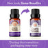 GuruNanda Lavender Essential Oil - 100% Pure, Natural and Undiluted Oil for Massage & DIY Recipes- Premium Diffuser Oil for Aromatherapy (Pack of ...