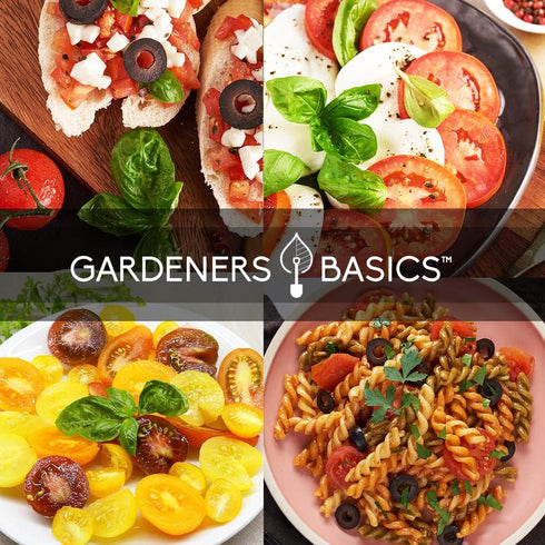 Gardeners Basics, Basil Seeds for Planting Home Garden - 8 Variety Herb Pack Genovese, Large Leaf, Lemon, Thai, Red Rubin, Cinnamon, Sweet and Pur...