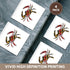 3dRose cst_193242_3 Maryland Crab Flag-Ceramic Tile Coasters, Set of 4...