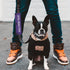 Dog Reactive Leash Sleeve Nervous Dog Leash Wrap Reactive Dog Patch (Dog Reactive)...