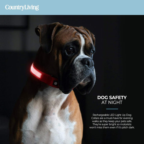 Silver Paw Light Up Dog Collars, LED USB Rechargeable Dog Collar, Waterproof & Durable (Red,S)...