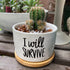 I Will Survive - Funny White Ceramic Engraved Mini Succulent Cactus Planter Pot, 1 Pack 3.5 inch Succulent Indoor Flower Plant Pots with Bamboo Tr...