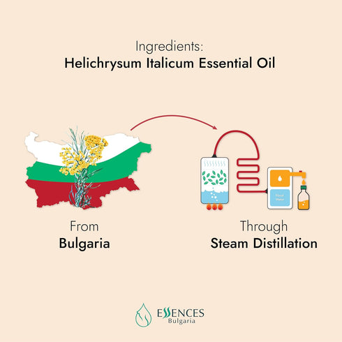 Organic Helichrysum Essential Oil 1/6 Fl Oz | 5ml | Helichrysum italicum | 100% Pure and Natural | Undiluted | Therapeutic Grade | Family Owned Fa...