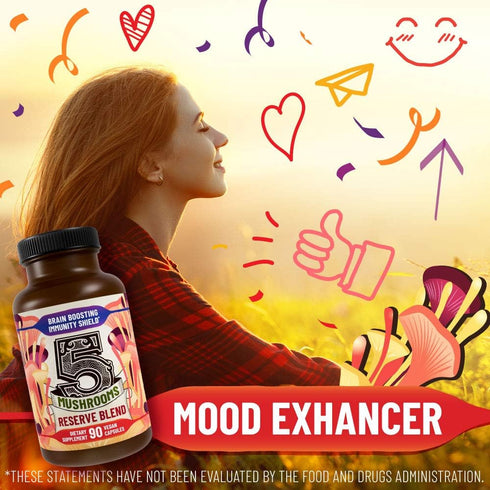 5 Mushrooms Reserve Blend Mushroom Supplement - Lions Mane, Turkey Tail, Reishi, Chaga, Cordyceps - Immune System, Brain, Cognition, Energy, Mood ...