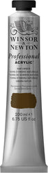 Winsor & Newton Professional Acrylic Paint, 200ml (6.75-oz) Tube, Raw Umber...