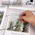 30 Sheets Double Sided Sticky Foam Sheets 7.9 x 5.9 Inch White Self Adhesive Foam Sticky Sheets 3D Dual-Adhesive Foam Sheets Foam Tapes for DIY Sc...