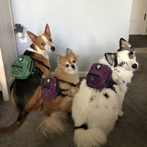 FLAdorepet Dog Backpack Harness with Leash, Dog Poop Bag Dispenser, Pet Self Carrier Adjustable Travel Hiking Walking Harness Backpack for Small M...