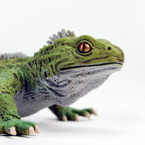 Safari Ltd. Tuatara Figurine - Detailed 7" Plastic Model Figure - Fun Educational Toy for Boys, Girls & Kids Ages 3+...