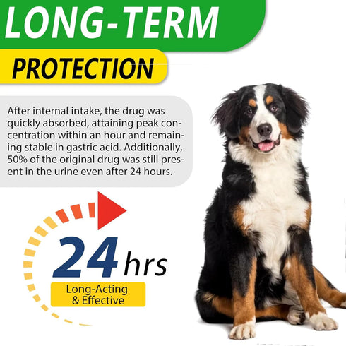 Natural Antibiotics for Dogs - Pet Antibiotic - Healing Aid and Skin Repair for Wounds, Sores, and Abrasions, Provides Itch Relief for Irritated S...