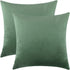 mixeoo Comfy Sage Green Throw Pillow Covers Decorative Square Solid Thick Velvet Super Soft Couch Cushion Cases for Livingroom Sofa Decor,Set of 2...
