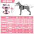 PUPTECK Dog Harness and Leash Collar Set for Small Medium Dogs Puppy and Cats Walking No Pull Adjustable Reflective Soft Mesh Padded Plaid Harness...