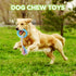 4 PCS Chew Toys for Teething, Soft Rubber Puppy Chew Toys, Puppy Teething Ring, Rope Dog Toys, Funny Interactive Toy for 2-8 Months Teething Small...