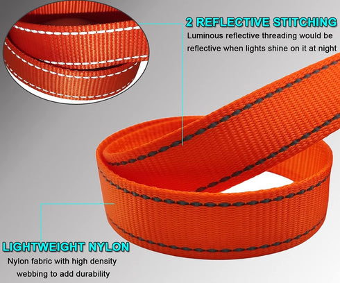10FT Traffic Leash with 2 Handle Dog Leash Reflective, Easy Control Training Walking Nylon Two-Double Handle Dog Leash for Large Medium dogs and P...