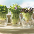 Bormioli Rocco Quattro Stagioni Airtight Pot, Clear...